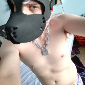 Xtudr - Ibark: Soy puppy, sumiso, y a veces esclavo. 